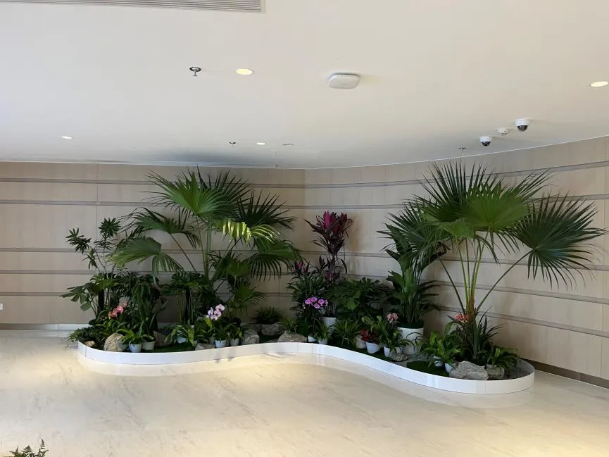 深挖宁波鄞州绿化养护价格,真相惊人!><div class=